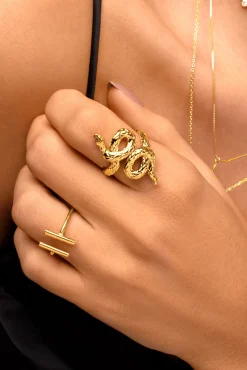 Anillo Boa Oro