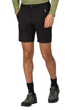 Bermudas Xert Stretch Iii