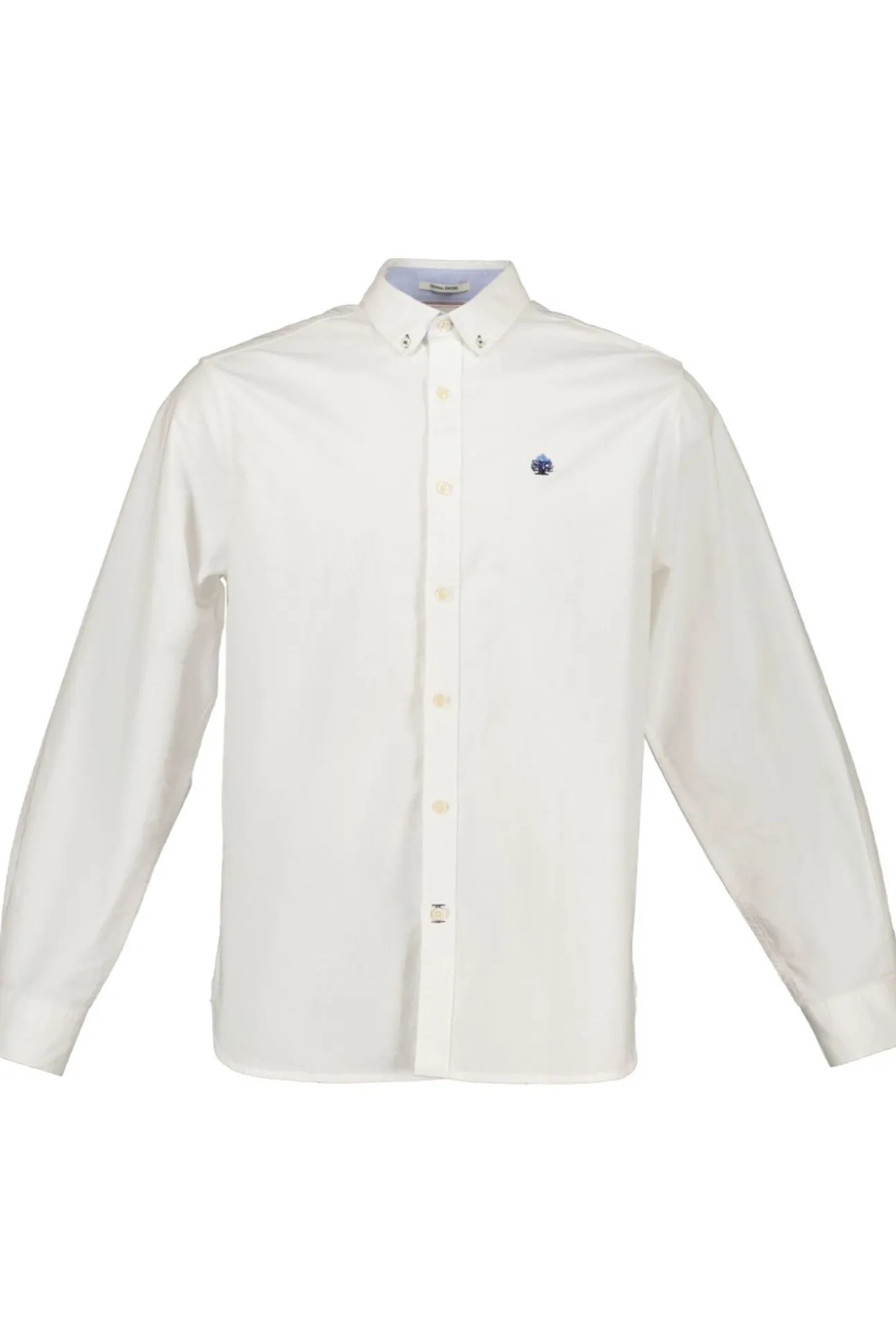 Camisa Oxford Color