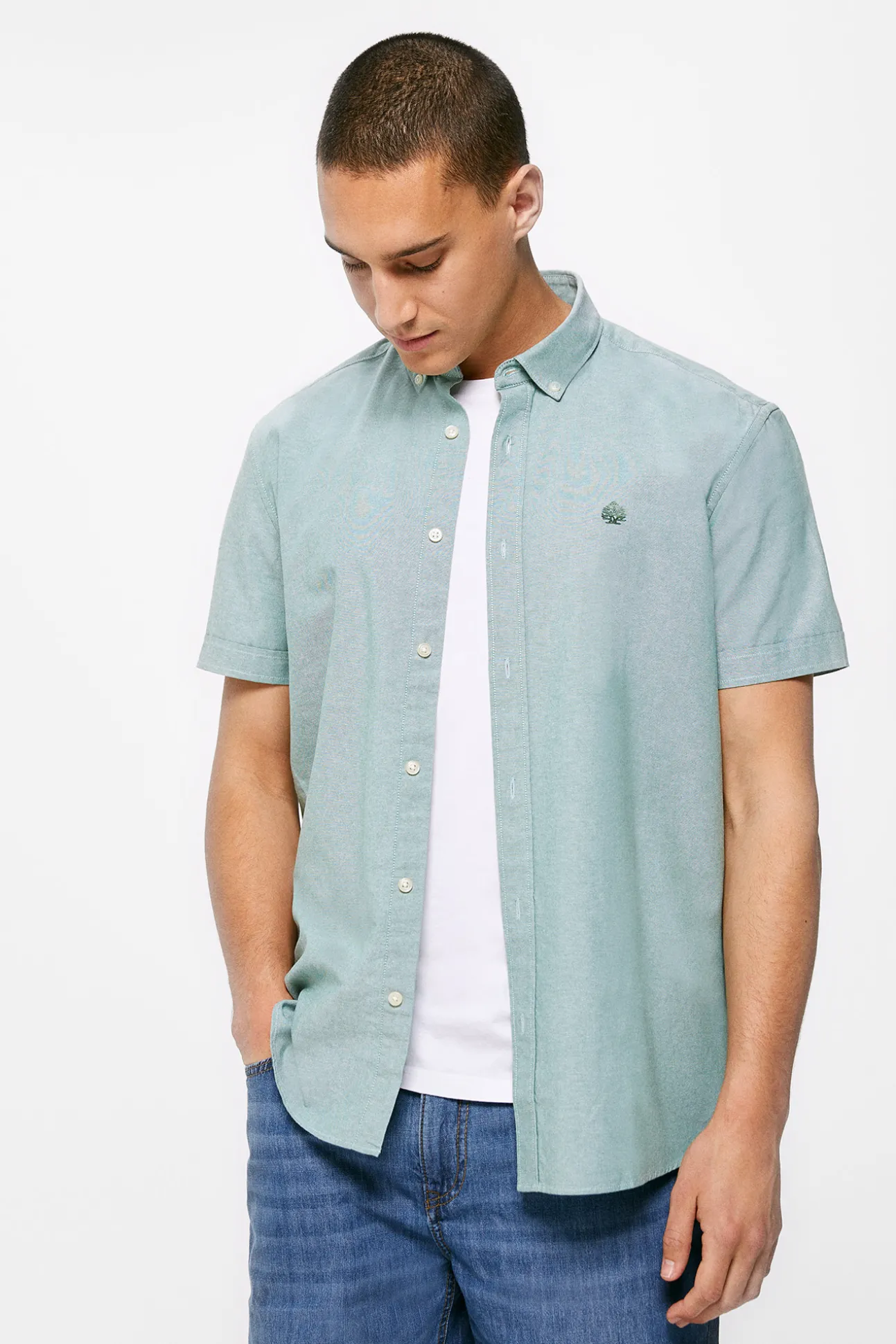 Camisa Pinpoint