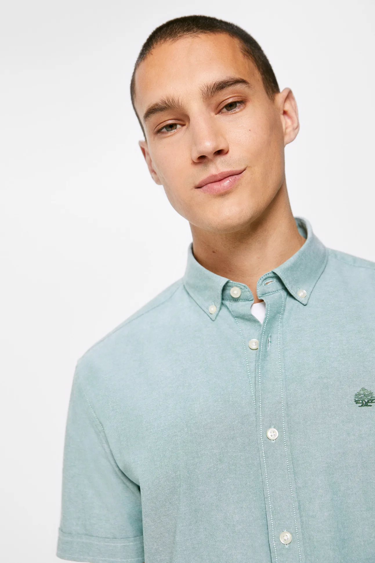 Camisa Pinpoint
