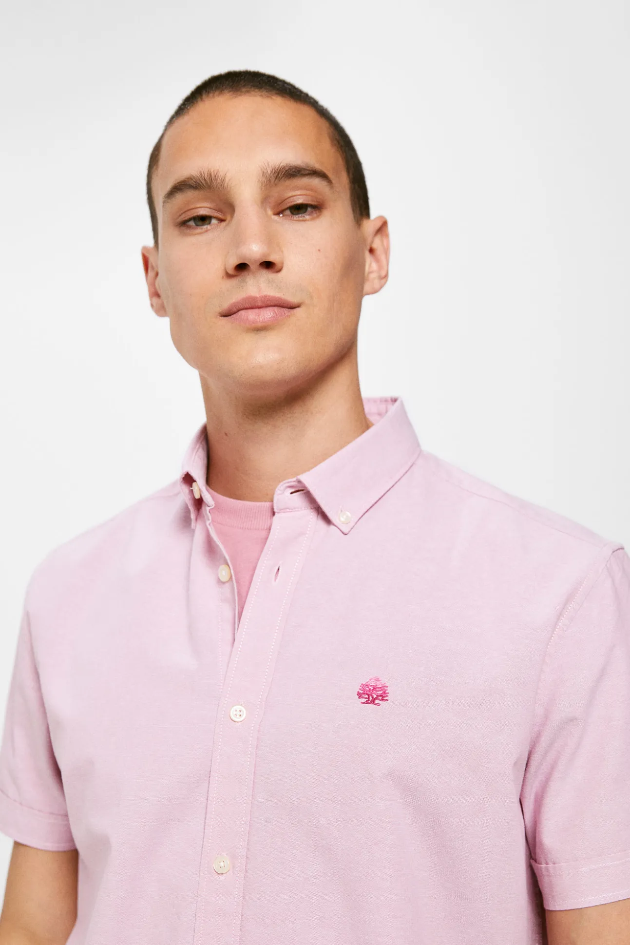 Camisa Pinpoint