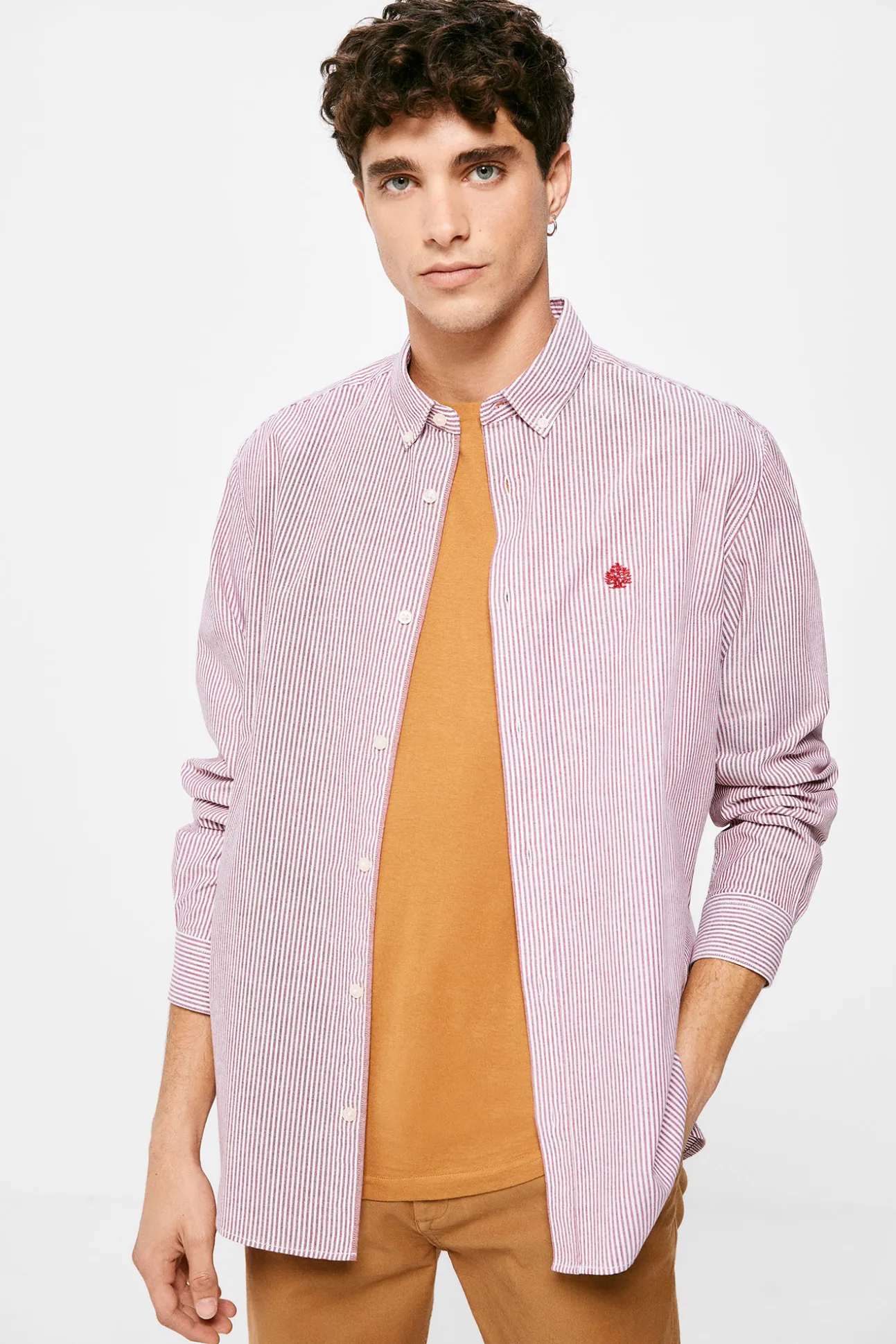 Camisa Pintpoint Rayas