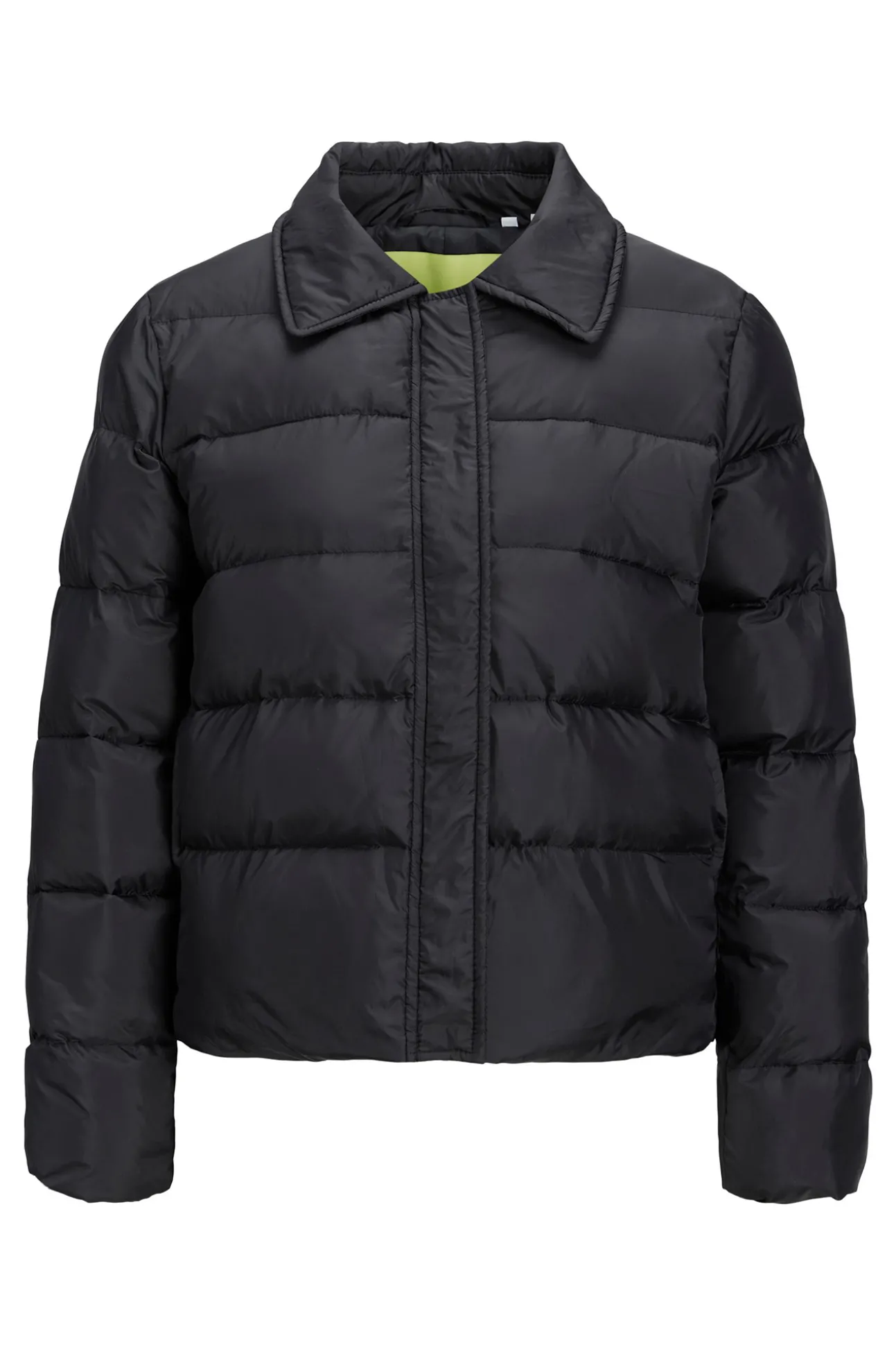 Chaqueta Acolchada