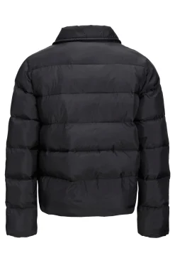 Chaqueta Acolchada