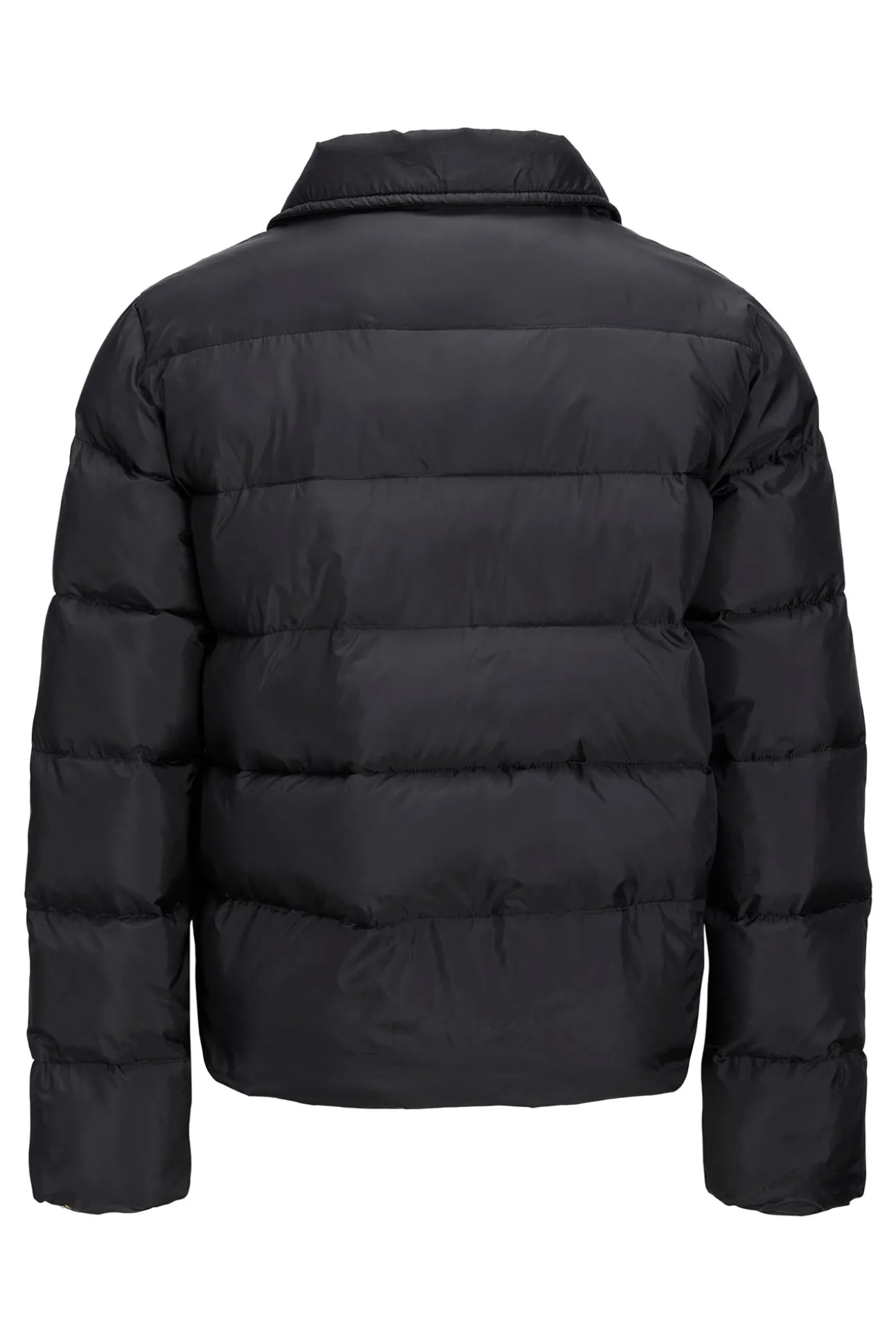Chaqueta Acolchada