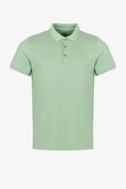 Polo Pique