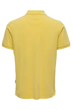 Polo Pique