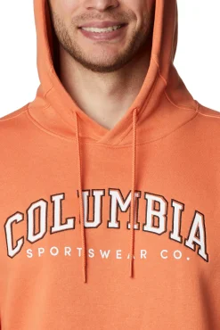 Sudadera Con Capucha Columbia Hombre Csc Basic Logo™ Ii