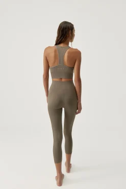 Top Zina Fossil